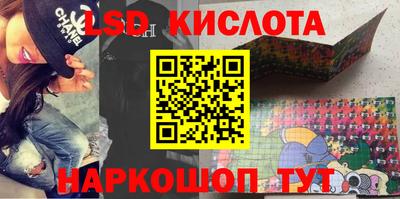 шишки Новодвинск