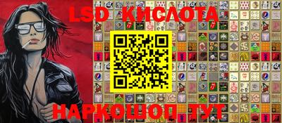 шишки Новодвинск