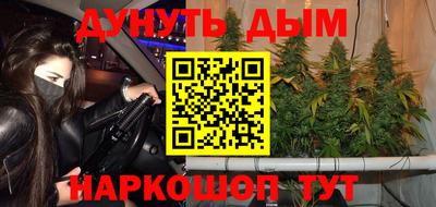 шишки Новодвинск