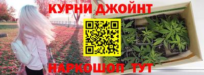 гашиш Новокубанск