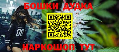 шишки Новодвинск