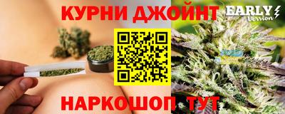 шишки Новодвинск