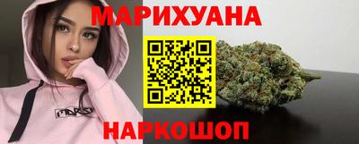 шишки Новодвинск
