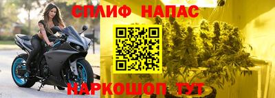 шишки Новодвинск