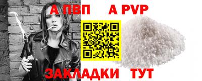 шишки Новодвинск