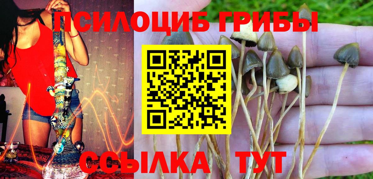 Галлюциногенные грибы мухоморы  Вход с VPN  Узловая 